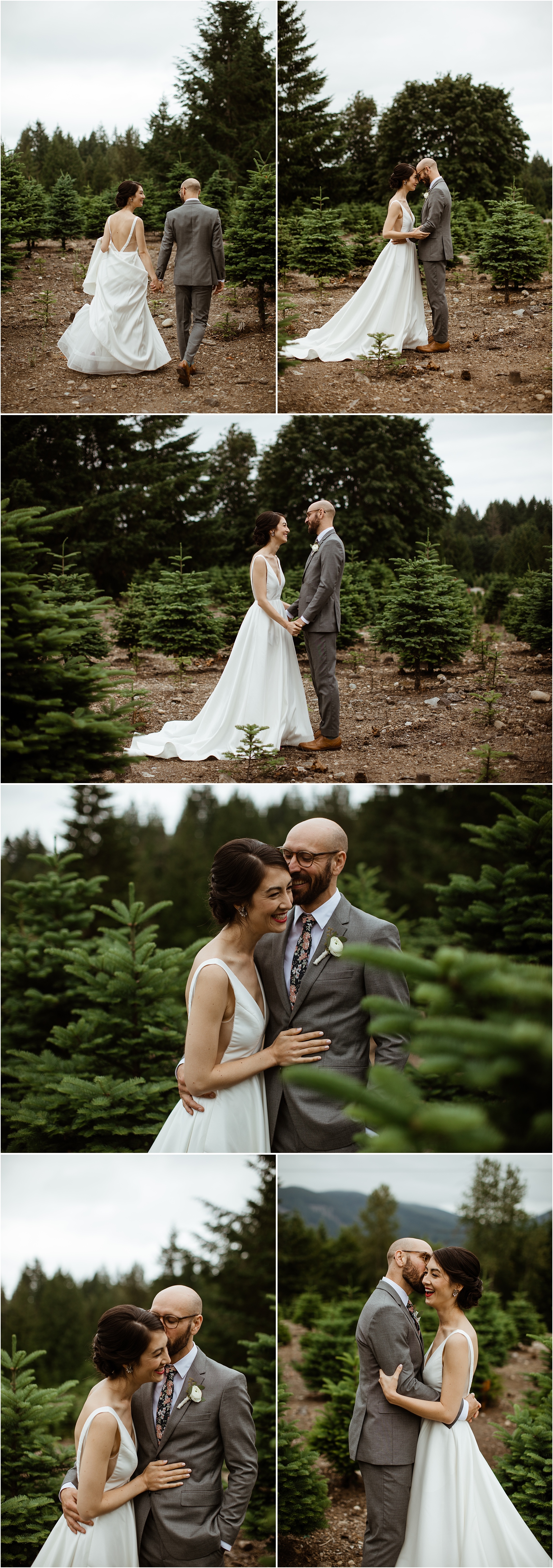 Trinity Tree farm wedding, Washington wedding photographer, the Johnsons photo, Seattle wedding photographer