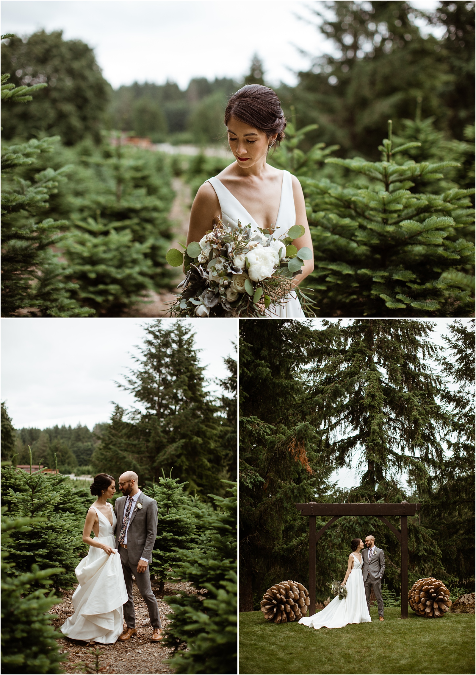 Trinity Tree farm wedding, Washington wedding photographer, the Johnsons photo, Seattle wedding photographer